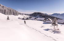 Schneewandern Pokljuka
