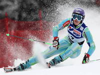 Goldener Fuchs, Maribor Pohorje