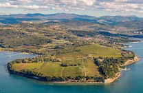 Debeli Rtic, Slowenische Adria