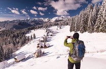 Winter, Pokljuka Hochebene