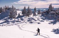 Schneewanderung Velika Planina