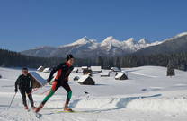 Skilanglauf Pokljuka