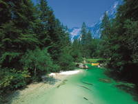 Bohinj - Fluss Sava Bohinjka