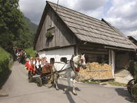 Bohinj - Oplen Haus in Studor