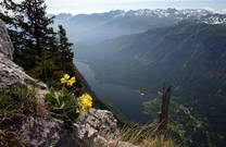 Ausblick Veliki Grad, Bohinj