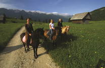Reiten Bohinj