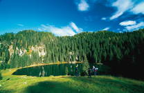 Bohinj - See Planina