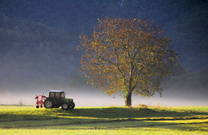 Bovec - Landwirtschaft