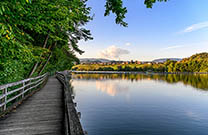 Smartinsko Jezero, Celje