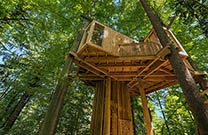 Stadtwald Baumhaus, Celje