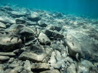 Izola - Tauchen Simonov zaliv