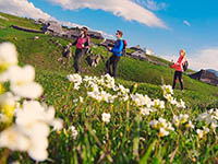 Wandern Velika Planina