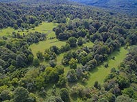 Waldreservat Pugled-Ziben