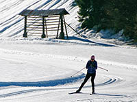 Kranjska Gora - Langlauf-Ski