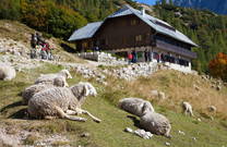 Ticarejev Haus am Vrsic Pass