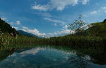 Naturpark Zeleno - Kranjska Gora