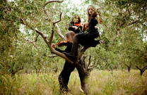 Piran - Oliven und Violinen