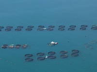 Portoroz - Fischzüchterei Fonda