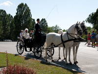 Postojna - Furmanski Praznik