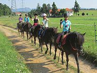 Reiten - Postojna