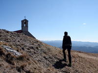 Laufen, Spazieren - Tivoli Park
