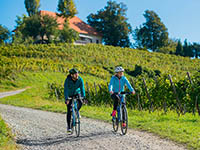 Radfahren, Ptuj