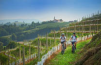Mountainbiketour, Ptuj Umland