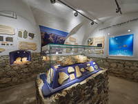 Fossilienausstellung im Pfarrhaus Solcava