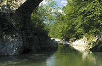 Napoleonbrücke - Nadiza