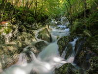 Trenta - Wasserhain Sunik, Lepena