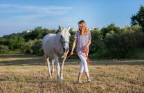 Reiten, Slowenische Adria