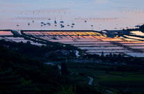 Salinen Strunjan, Sonnenuntergang